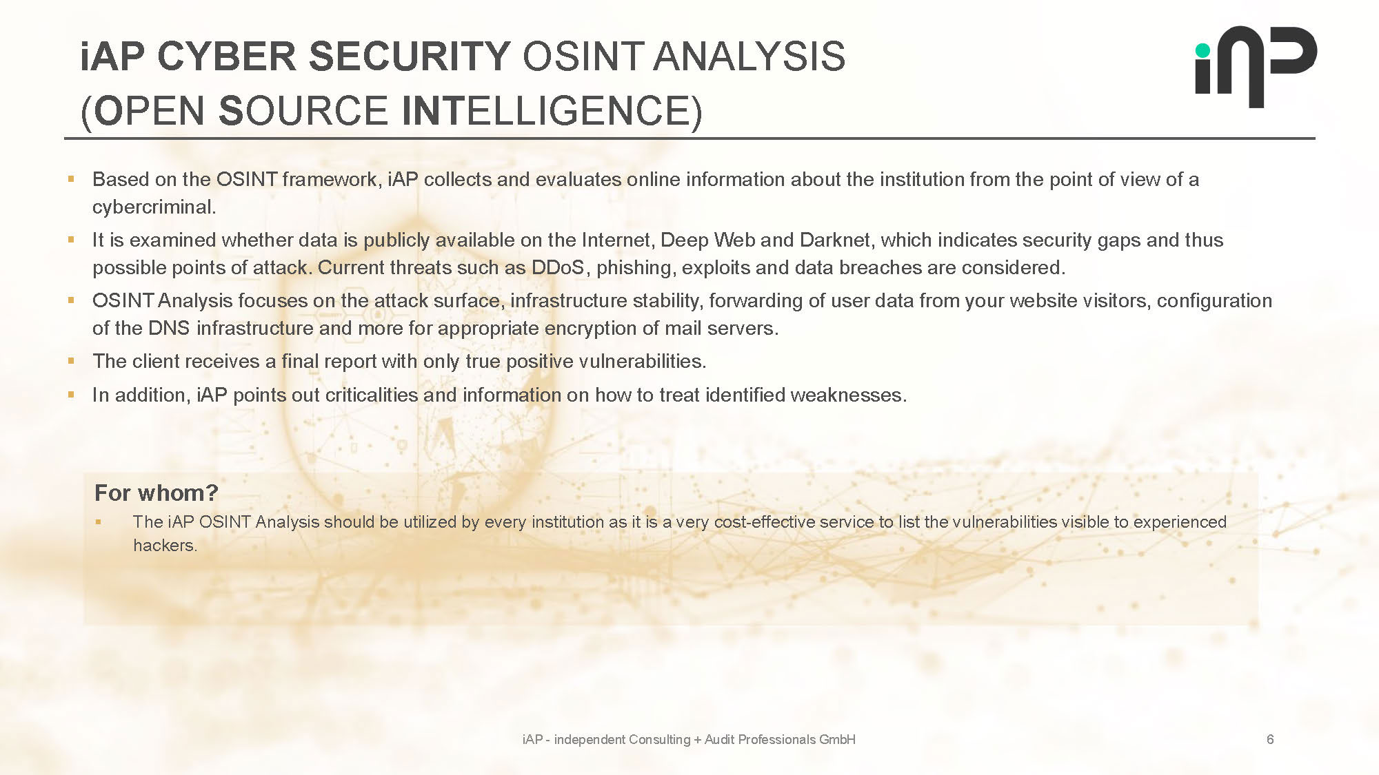 iAP CyberSecurityAudit Productinformation eng red Seite 06